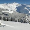 Sierra Nevada